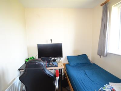 Picture 19